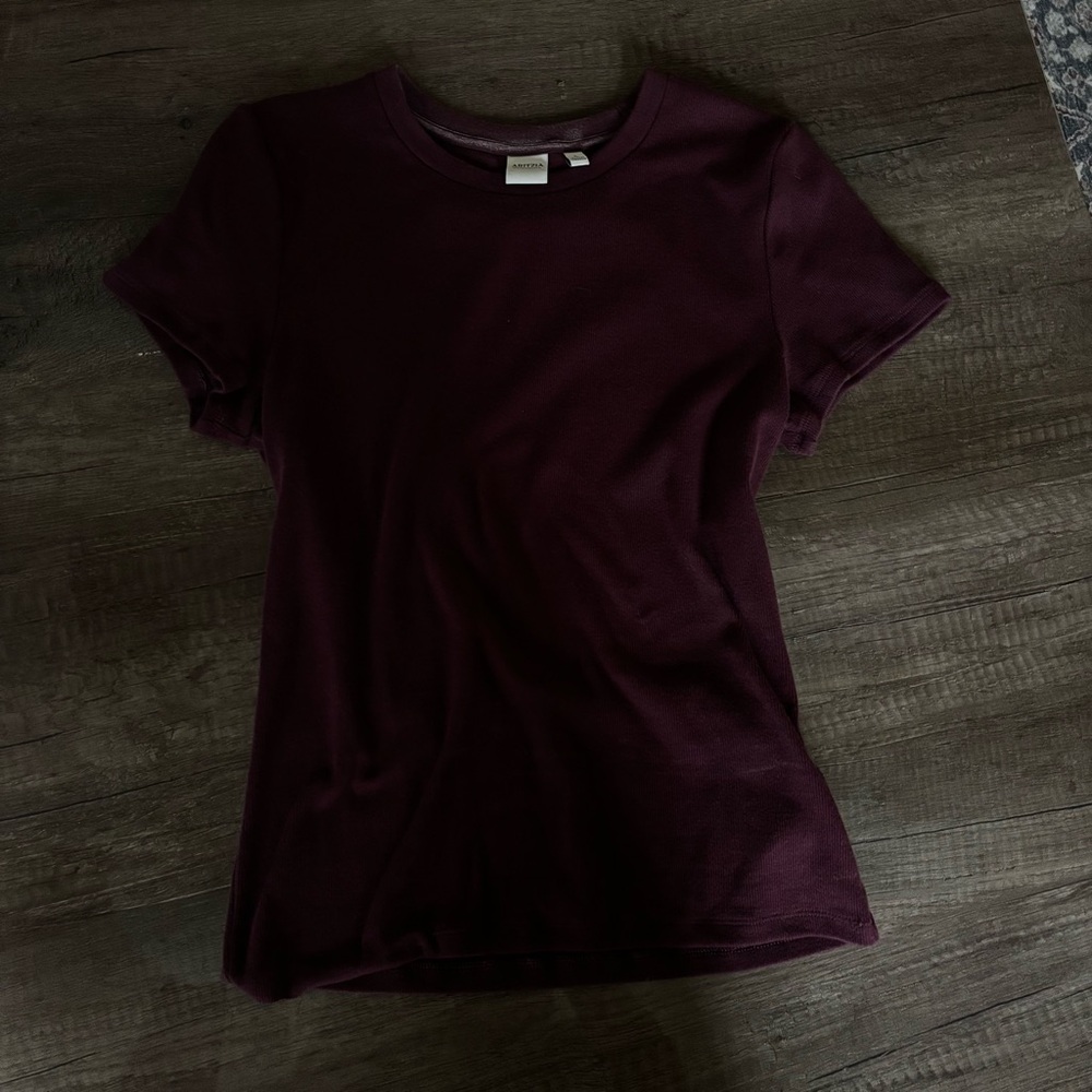 Aritzia ribbed tee - cardamom